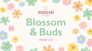 Sirdar Blossom amp Buds Crochet Along Week 6  Pretty Borders [upl. by Dart]