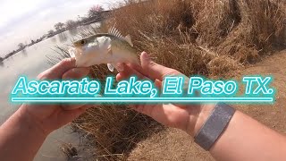 Urban Fishing in El Paso Texas [upl. by Sinnoda]