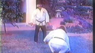 hanshi Tadashi Yamashitapart 5 of 10Suikendo Shorin Ryu Karate [upl. by Anthiathia]