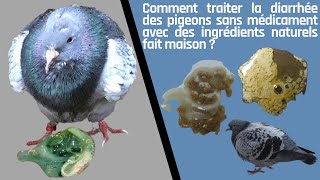 Comment traiter la diarrhée des pigeons sans médicament avec des ingrédients naturels fait maison [upl. by Murial713]