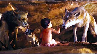 Mowgli Legend of the Jungle 2018 Movie Explained in Hindi Adventure Film Summarized in हिन्दी [upl. by Roon950]