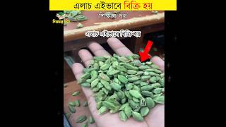 cardamom auction by শিক্ষার পথ [upl. by Saalocin]