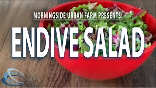 How to Make Endive Salad [upl. by Ulani75]