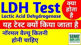 LDH Blood Test Kya Hai Meaning Normal Range Full Form In Hindi Lactic Dehydrogenase Test [upl. by Elgar]