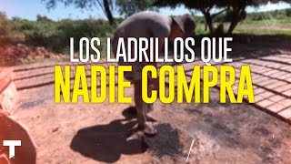 LOS LADRILLOS QUE NADIE COMPRA la demanda de ladrillos bajó más del 70 [upl. by Zuleika]