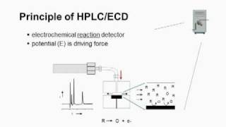 HPLCECDMPG [upl. by Tiga600]