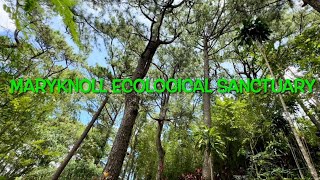 Maryknoll Ecological Sanctuary  Baguio City [upl. by Ylenats]