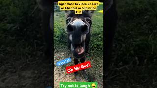 Try Not to Laugh Challenge 02 🤣funny shorts viral [upl. by Alten]