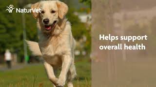 NaturVet Vitamins to Support Your Pets Overall Health [upl. by Milon]