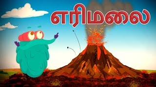 எரிமலை வெடிப்பு  Volcano  How Volcanoes Erupt  DrBinocs Tamil  Best Learning Videos For Kids [upl. by Anir618]