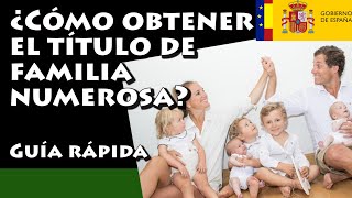 Familia Numerosa obtener titulo de familia numerosa y ayudas y descuentos para Familias Numerosas [upl. by Berglund]