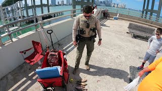 MANGROVE SNAPPER BRIDGE FISHING when the FWC GAME WARDEN shows up Key Biscayne [upl. by Woodward]