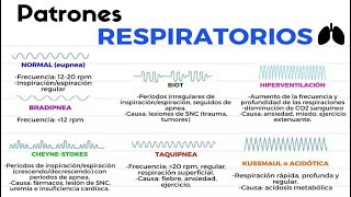 🔴 ALTERACIONES DE LA RESPIRACION  PATRONES RESPIRATORIOS [upl. by Malita]