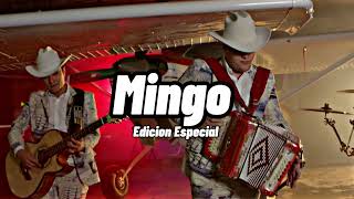 🔥Edicion Especial  Mingo Corridos 2022🔥 [upl. by Cordey582]