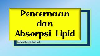 Metabolisme LipidPencernaan dan Absorpsi Lipid [upl. by Sakhuja]