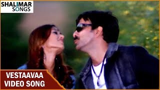 Vestaavaa Video Song  Khatarnak Movie  Ravi Teja Ileana  Shalimar Songs [upl. by Art165]