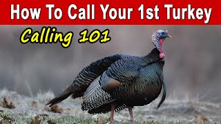 How To Call Turkeys For Beginners amp Basic Calling Strategy [upl. by Nnylimaj]