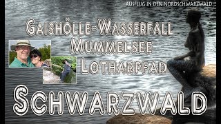 Schwarzwald  Sasbachwalden  Mummelsee  Lotharpfad [upl. by Nnaillij]