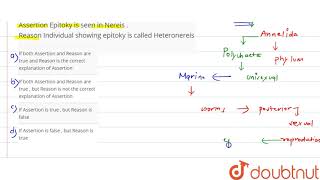 Assertion Epitoky is seen in Nereis  Reason Individual showing epitoky is called Heteronereis [upl. by Sulohcin]