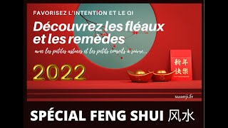 Afflictions fléaux et remèdes Feng Shui 2022  風水 [upl. by Shellie]