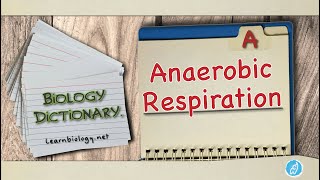 Anaerobic respiration  Biology Dictionary  Spoken Biology Definitions [upl. by Labaw]