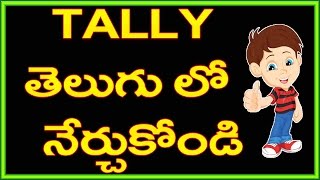 Tally ERP 9 in Telugu Multiple Ledger Part 4 [upl. by Ashman]