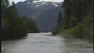 Jet Boating  Stikine River to Shakes Glacier  Wrangell AK [upl. by Imray]