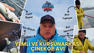 YEMLİ VE KURŞUNARKASI ÇİNEKOP KASIM 24 çinekop lüfer istanbul balıkavı kurşunarkası öneçıkar [upl. by Laon]