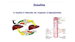 metabolismo de carboidratos parte 2 [upl. by Nelleeus]