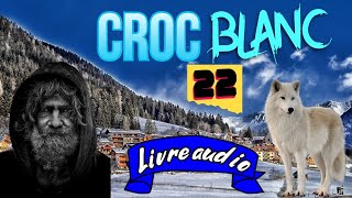 Croc Blanc  Jack London  Chapitre 22  à Lire et écouter [upl. by Neeruan]