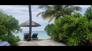 Deluxe Jacuzzi Beach Villa Reethi Faru Resort Maldives [upl. by Hanae995]