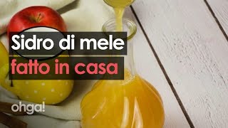 Come fare il sidro di mele fatto in casa [upl. by Hephzibah82]