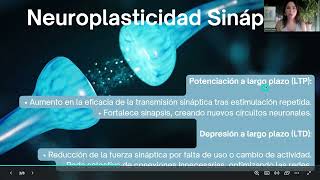 Neuroplasticidad Sináptica y Funcional Trabajo Unidad 2 [upl. by Peter]