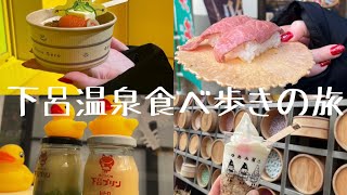 【旅vlog】旅館が最高すぎた！！！ [upl. by Ycart]