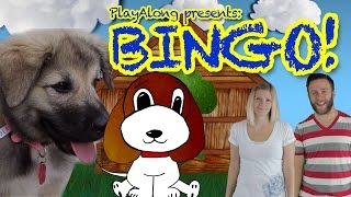 Bingo  Dog Song  Child Nursery Rhyme [upl. by Lerraf]