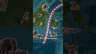 Why Animals Don’t Cross This Invisible Border 🚧 Wallace Line 😱 [upl. by Nilkoorb]