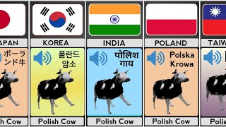 quotPolish Cowquot In Different Languages With Voice [upl. by Elsy803]