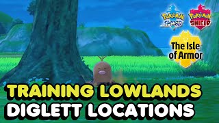 Training Lowlands All Diglett Locations In Pokemon Sword amp Shield The Isle Of Armor DLC [upl. by Enelyar1]