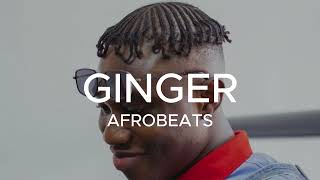 quot GINGER quot Zlatan x Odumodublvck x Naira Marley Afrobeat instrumental [upl. by Benoite]