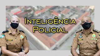 Pesquisa Social em concursos  Inteligência Policial Militar [upl. by Eecyak]