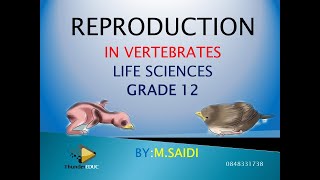 Reproduction in vertebrates grade 12 GRADE 12 LIFE SCIENCES  THUNDEREDUC BY MSAIDI [upl. by Lynnette]