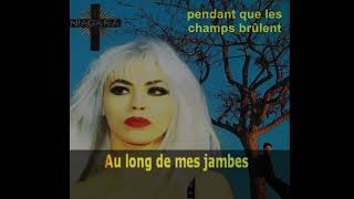 Pendant que les champs brûlent KARAOKE by NIAGARA  lucien depuydt karaoke [upl. by Ardelis]