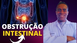 O que é obstrução intestinal  o que é nol nas tripas [upl. by Annaid]