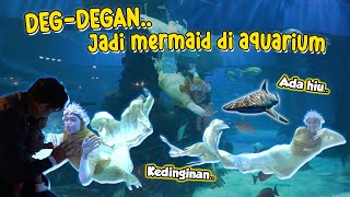 DETIKDETIK SEBELUM JADI MERMAID AQUARIUM Ada Hiu Buas 😵‍💫 [upl. by Orvil616]