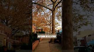 Autumn in Astoria strollinthru astoria queens queensny autumn autumnwalk iloveny [upl. by Eisen996]