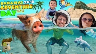 SWIMMING with PIGS in BAHAMAS  IGUANA ISLAND FUNnel Family Exuma Tour Adventure Day 1 [upl. by Koorb]