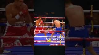 Русского Боксера Бросили Под Непобежденного Чемпиона boxing mma [upl. by Leibarg77]