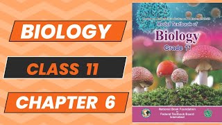 Biology 11 Chapter 6 Prokaryotes Topic 8 and 9 New Book NBF 2024 Complete Explanation FBISE [upl. by Etnaled873]