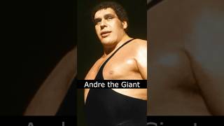 The Life and Death of Andre the Giant [upl. by Mcnair]