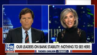 Stephanie Pomboy on Tucker Carlson Tonight  Fox News 32423 [upl. by Akimed]